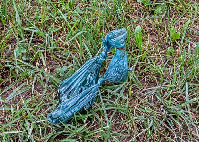 How to Properly Dispose of Dog Waste After Using a Pooper Scooper