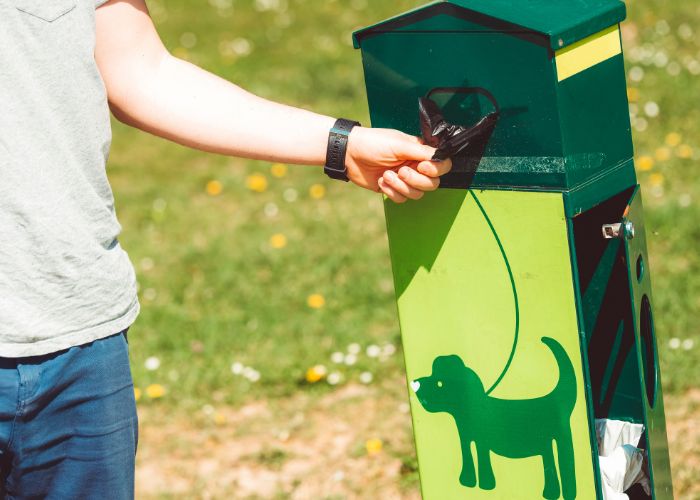 How Often Should You Schedule Pet Waste Removal at Home?