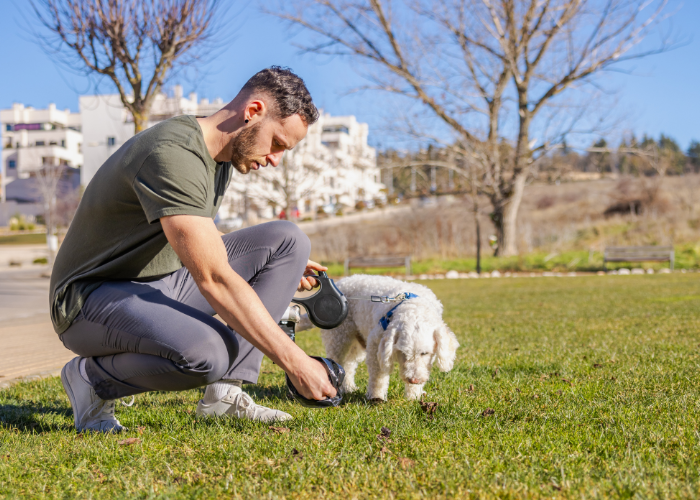 Pet Odor Deodorizing Service: Eliminate Dog Smells and Enjoy a Fresh Yard