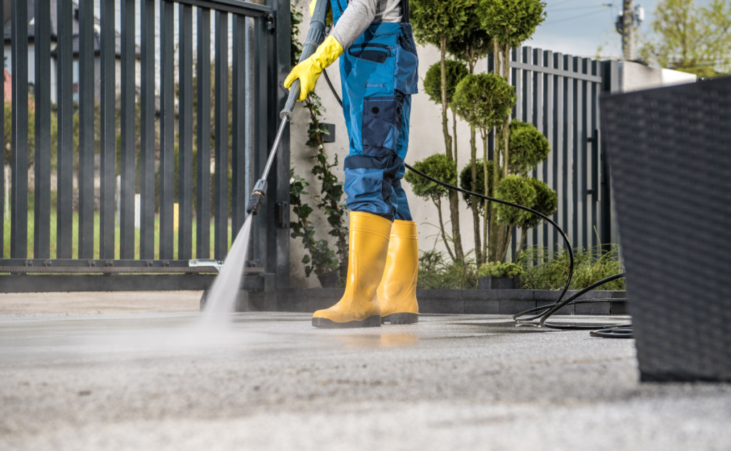 Why Does My Yard Still Smell After Picking Up Dog Poop?